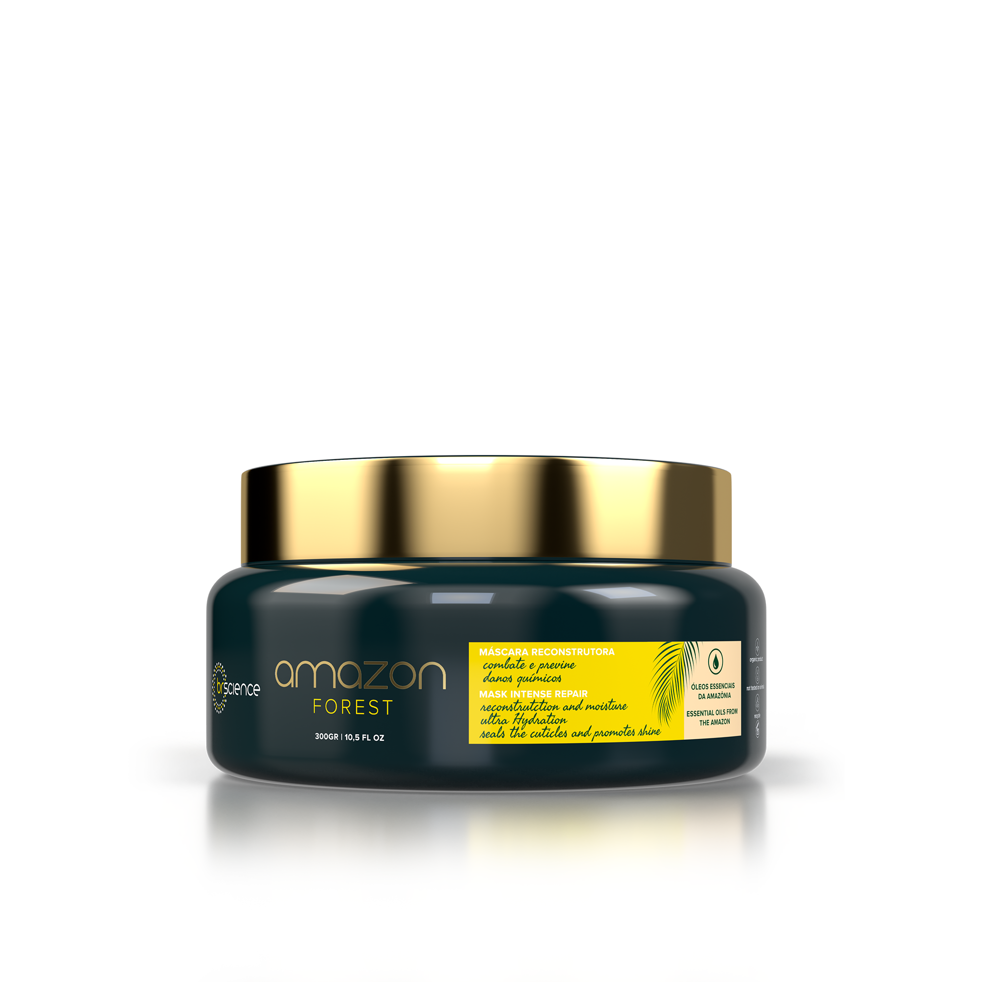 Amazon Forest Repair Mask