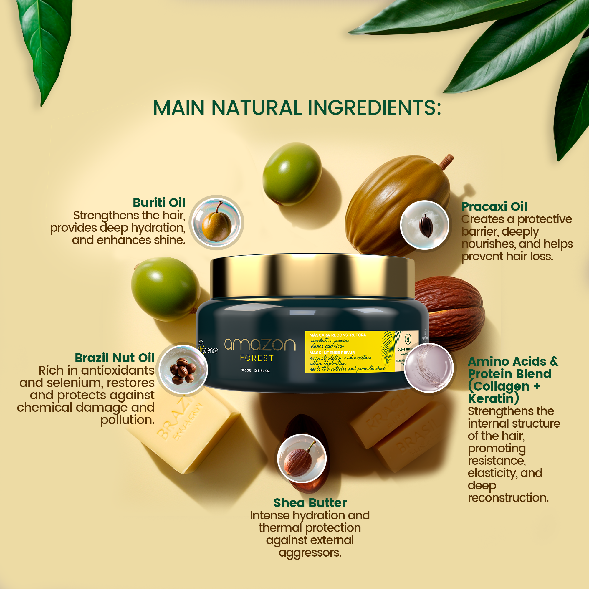 Amazon Forest Repair Mask