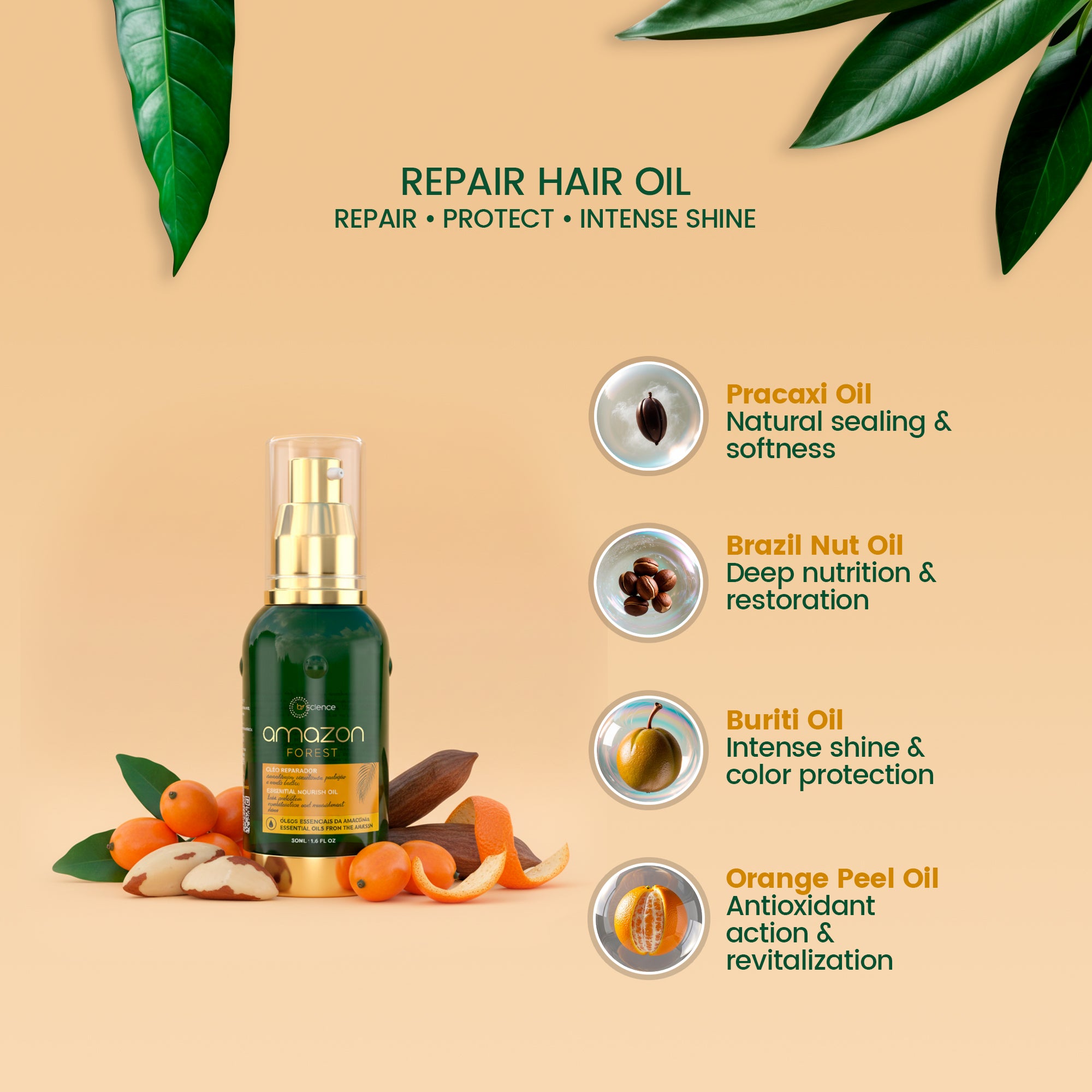 Amazon Forest Repair Hair Oil (50ml)