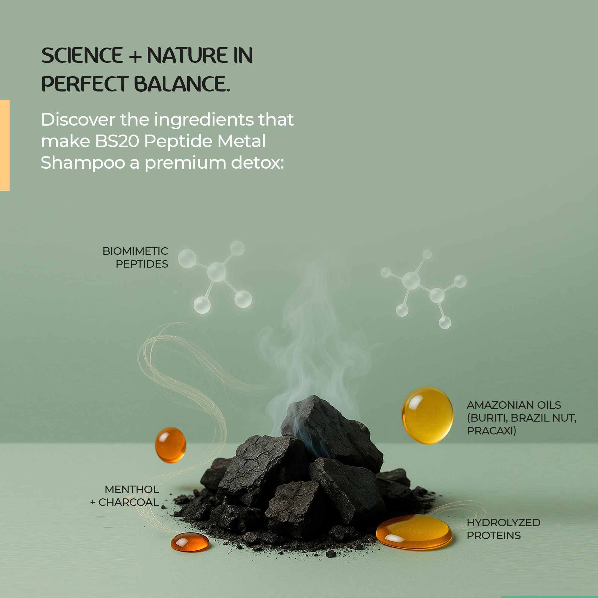 BS20 Peptide Metal Shampoo
